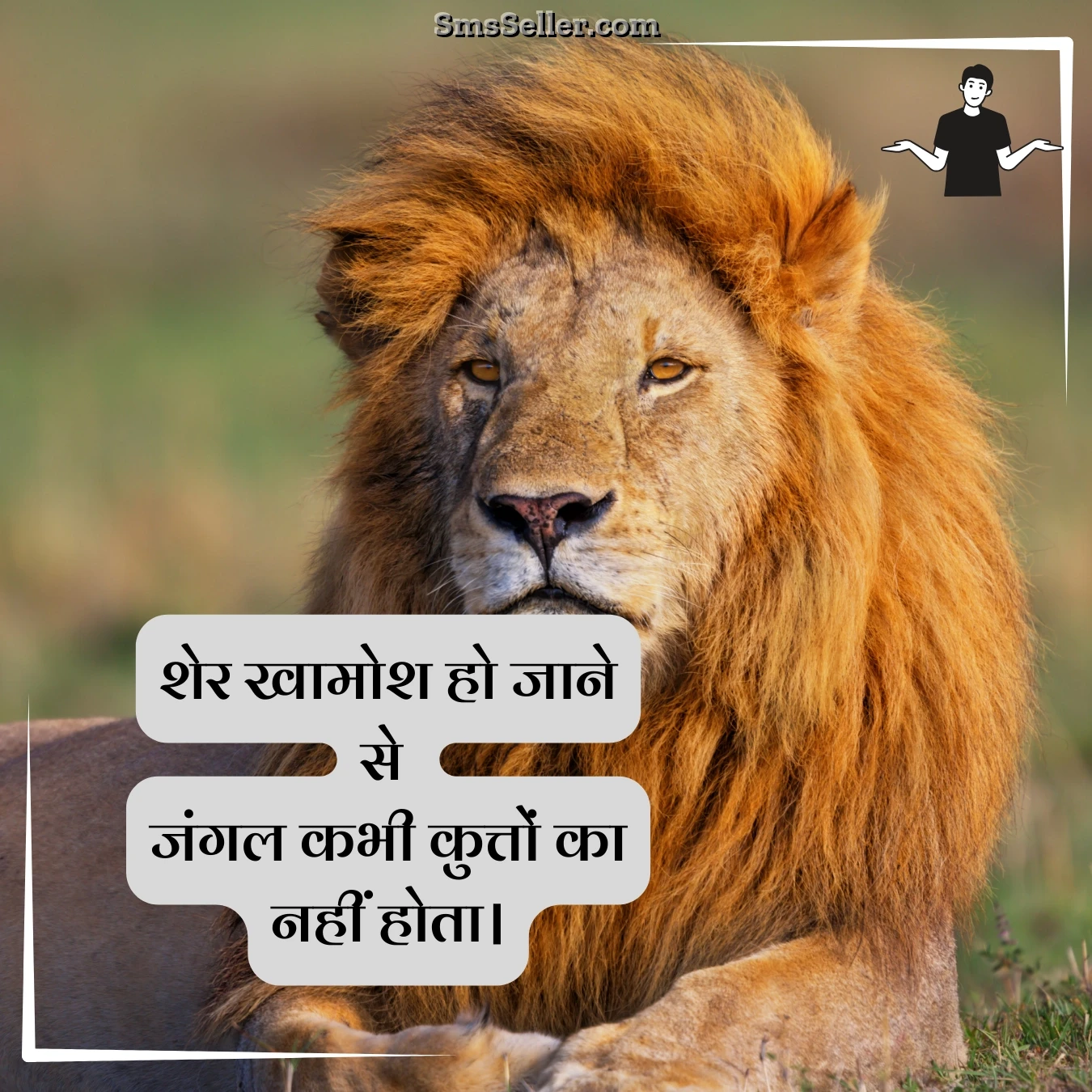 line shayari attitude a silent lion is still king of jungle