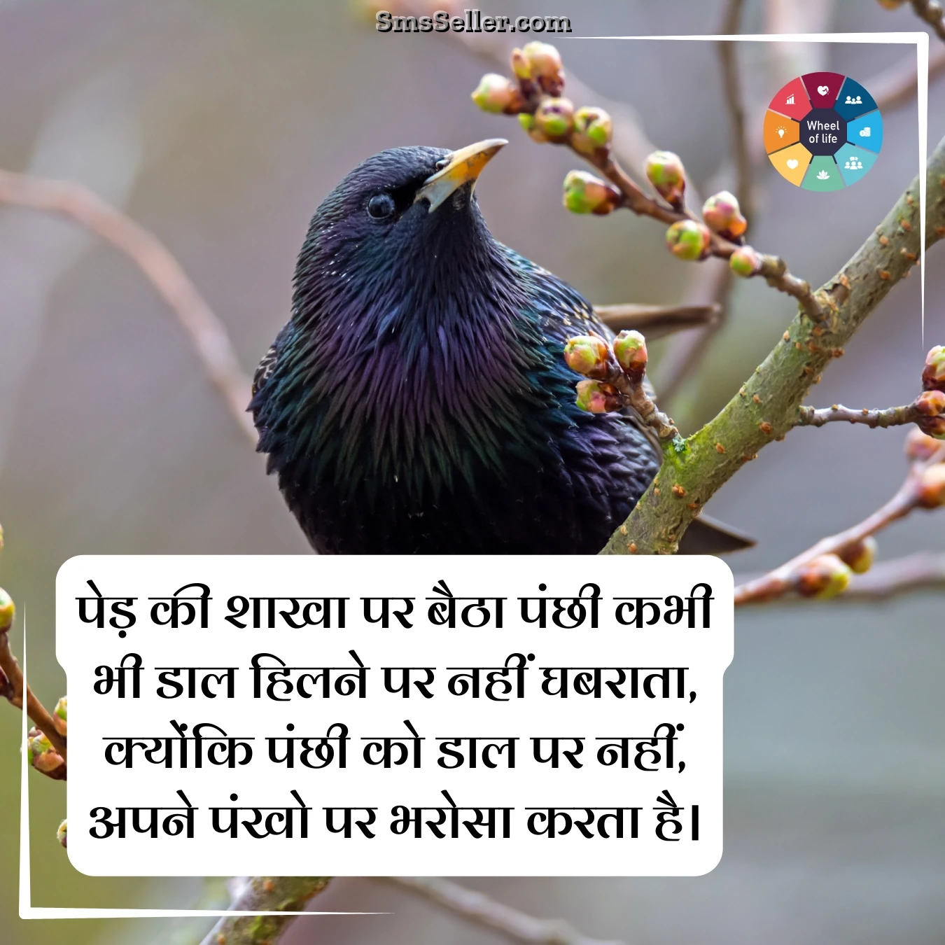 lines beautiful in hindi on ped kee shaakha par baitha
