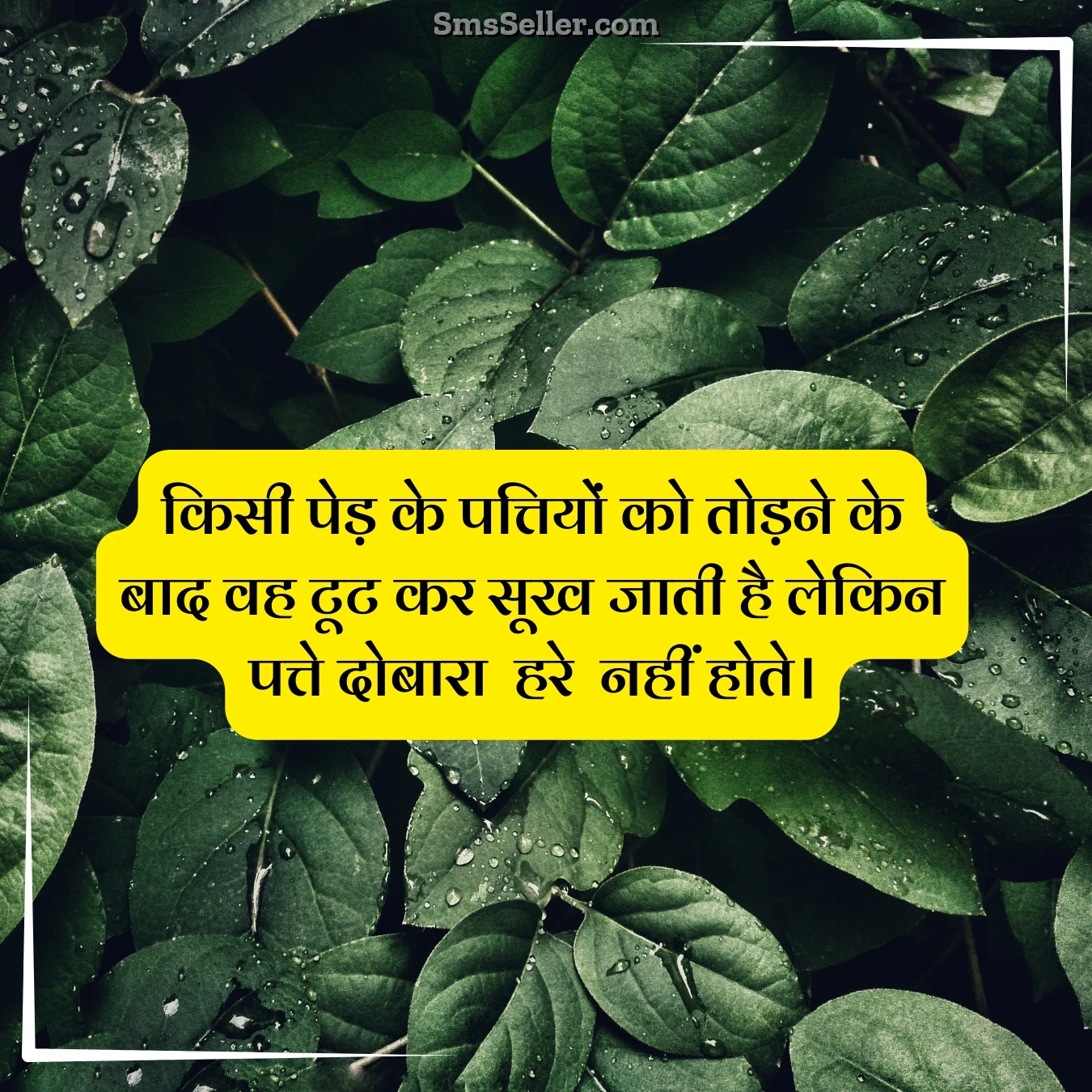 status in hindi leaves like life kisee ped pattiyon